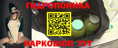 бошки Берёзовский