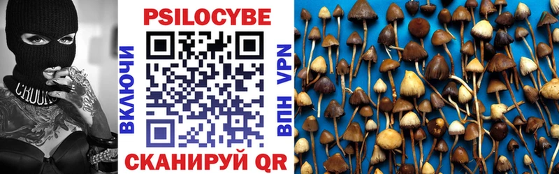 закладки  Новозыбков  Галлюциногенные грибы GOLDEN TEACHER 