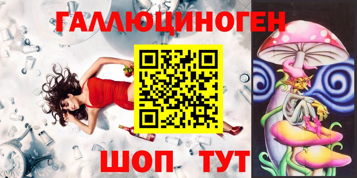 Новозыбков  Псилоцибиновые грибы прущие грибы  Вход с VPN  Галлюциногенные грибы мицелий 