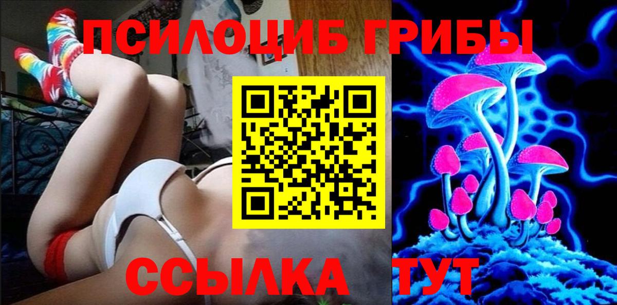 Псилоцибиновые грибы Psilocybe  Новозыбков 