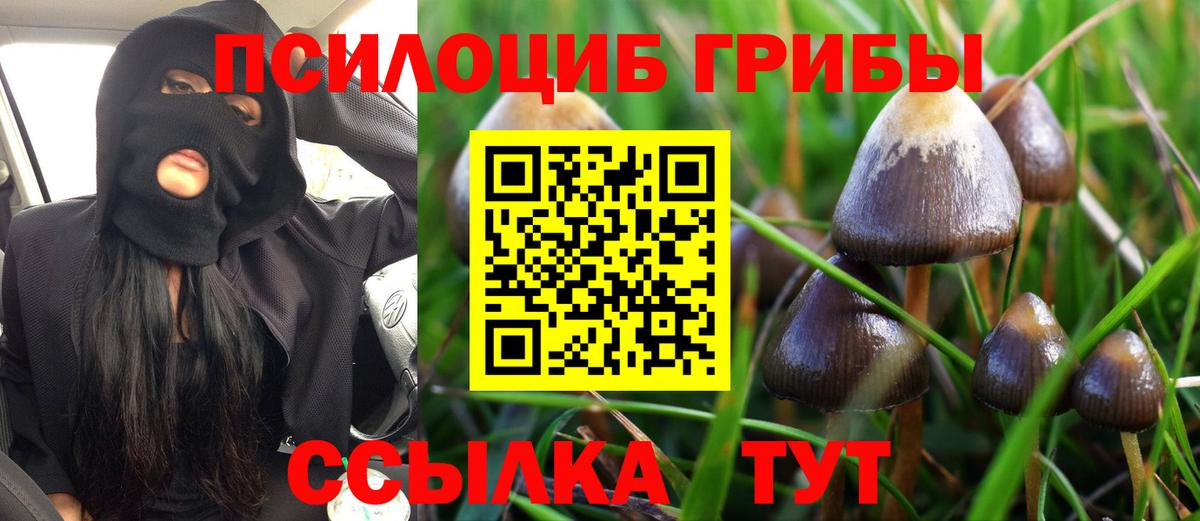 Псилоцибиновые грибы мухоморы Новозыбков